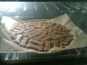 vegan dog biscuits baking